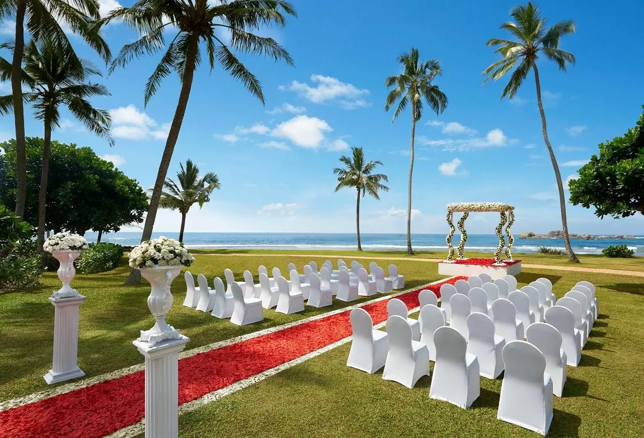 Hikka Tranz By Cinnamon — HIKKA TRANZ BY CINNAMON