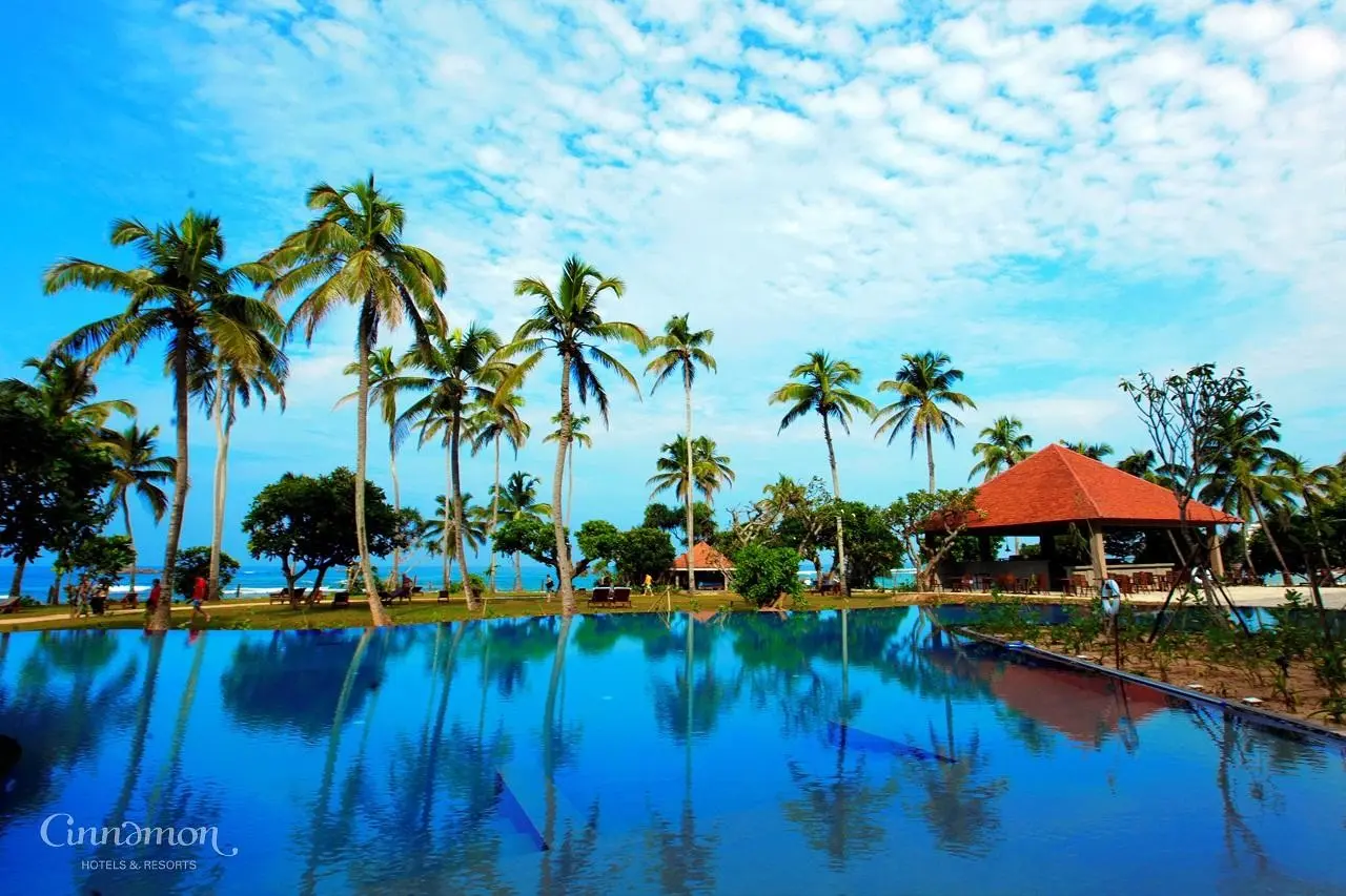 Hikka Tranz By Cinnamon — HIKKA TRANZ BY CINNAMON