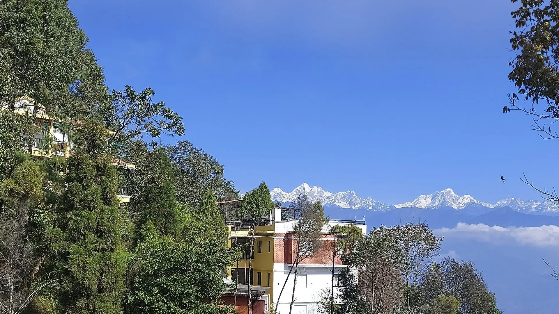 Widok z hotelu Himalajskie tajemnice: Nepal i Bhutan