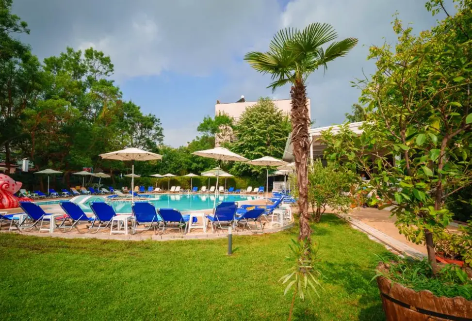 Basen w hotelu Hotel Perla Plaza