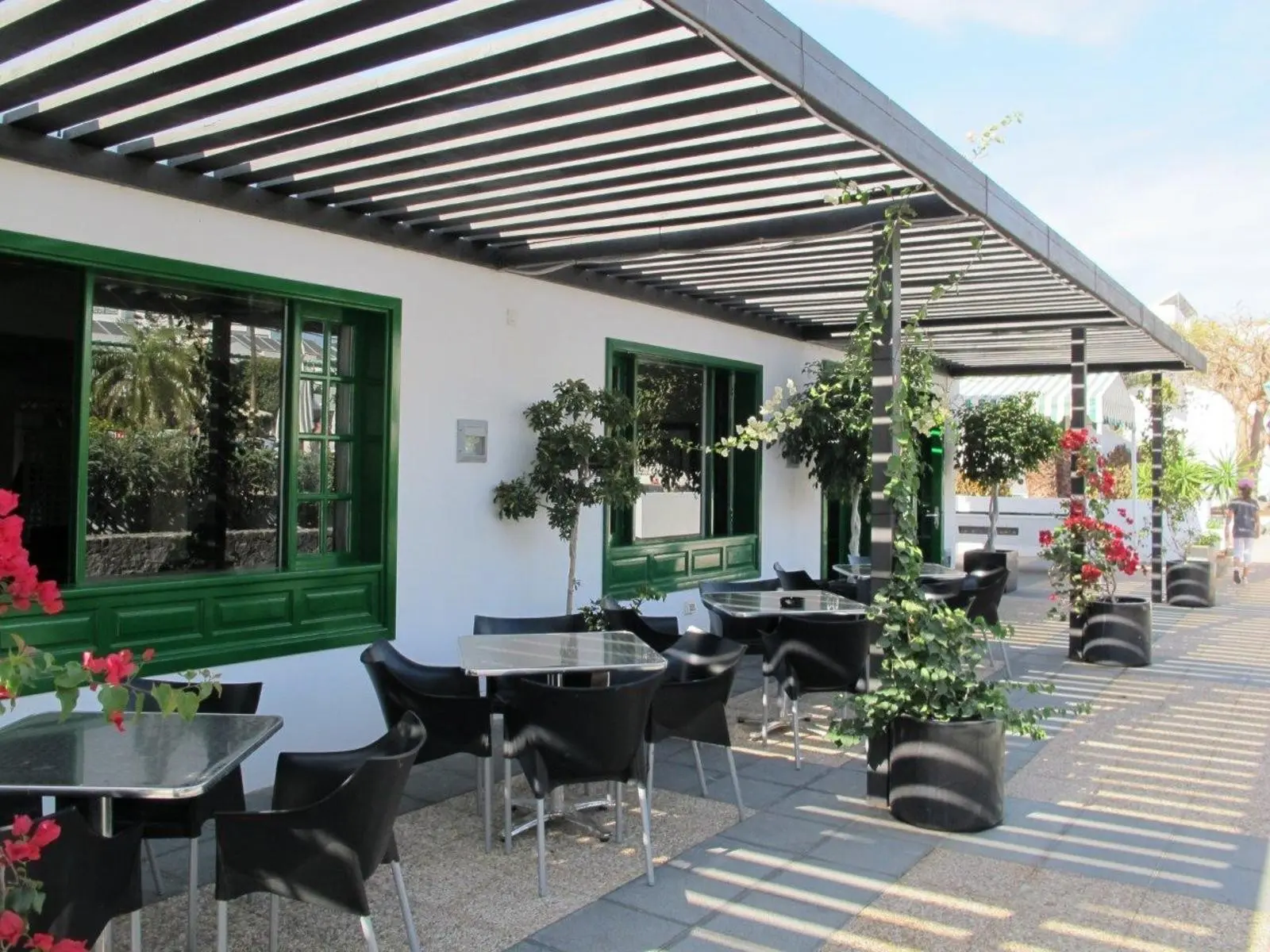 Lomo Blanco — LOMO BLANCO