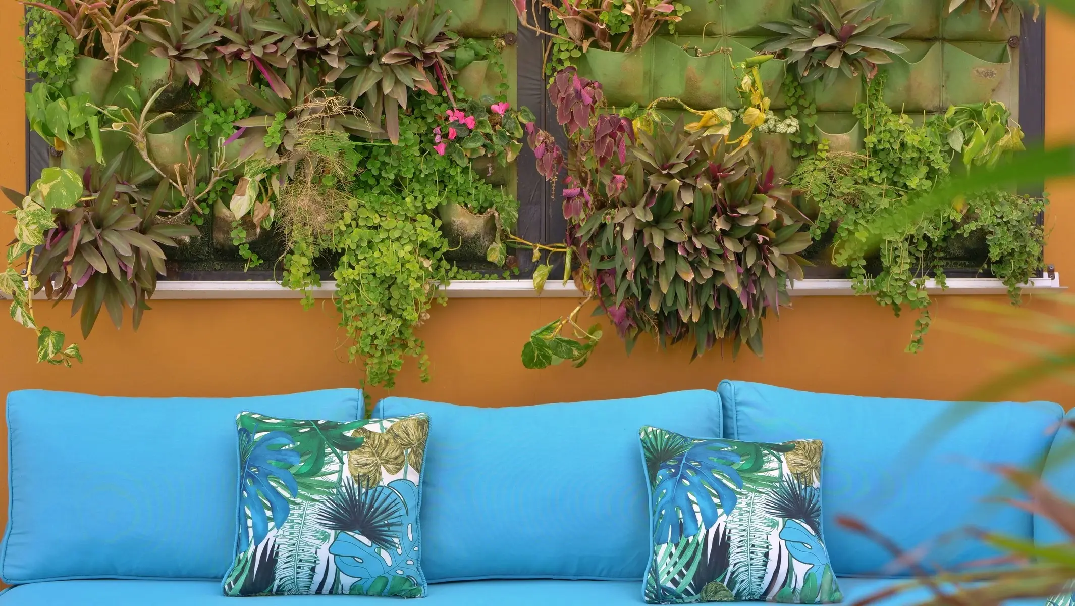 Los Almendros Exclusive Vacation Club — LOS ALMENDROS EXCLUSIVE VACATION CLUB