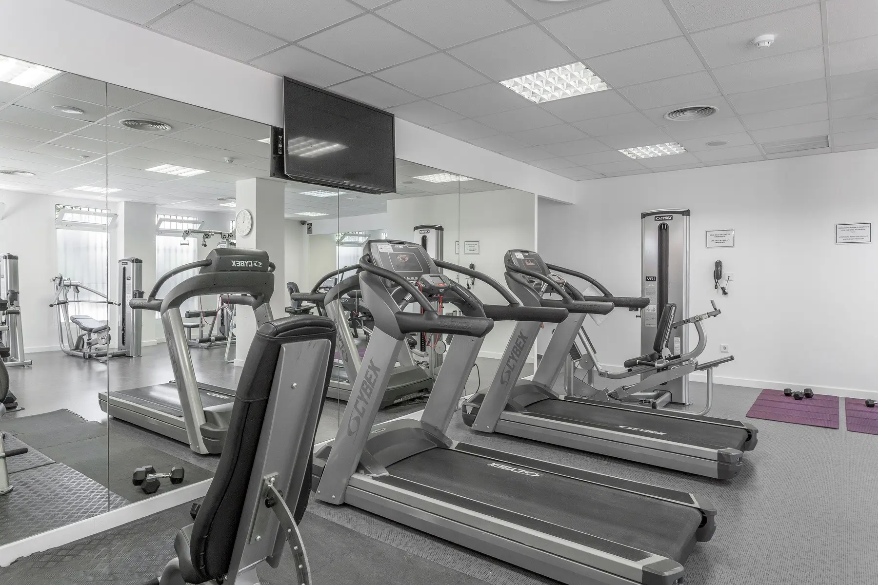 Los Amigos Beach Club — LOS AMIGOS BEACH CLUB