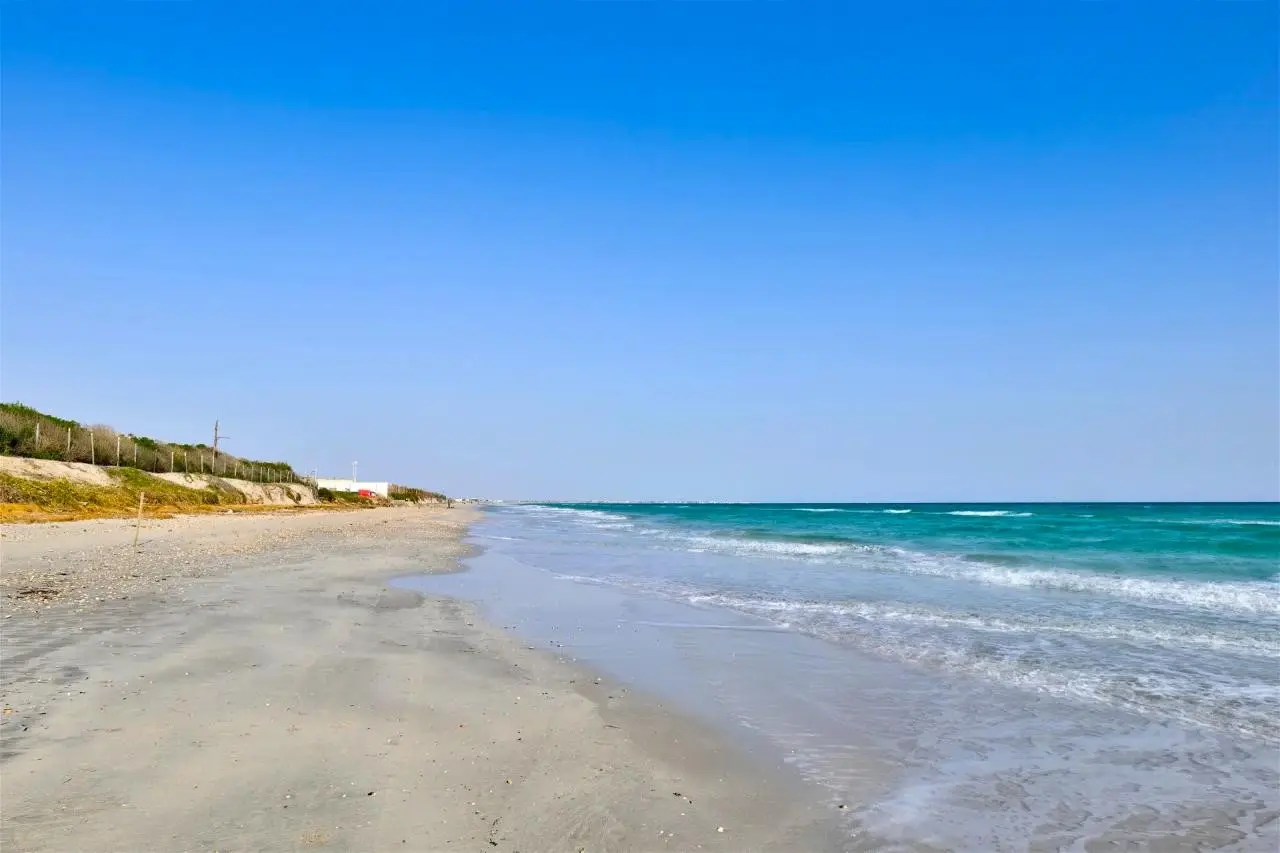 Mahdia Palace — MAHDIA PALACE