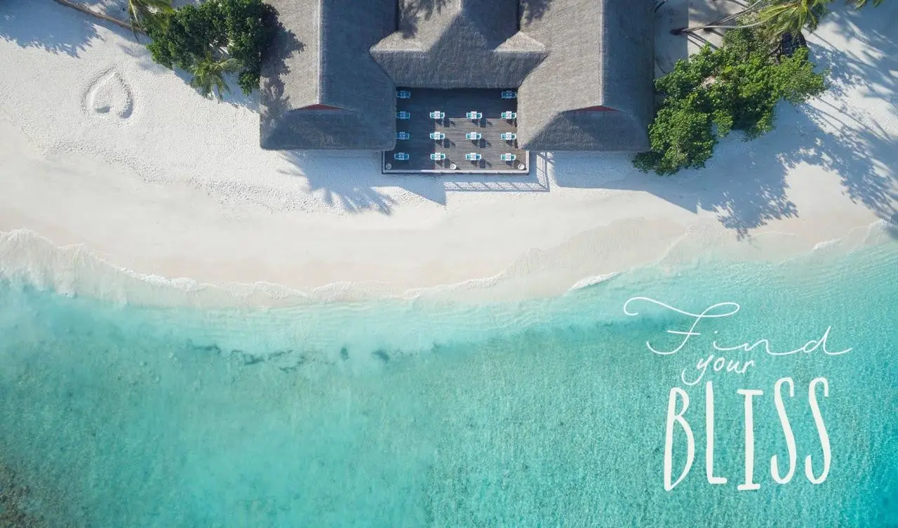 Malahini Kuda Bandos — MALAHINI KUDA BANDOS