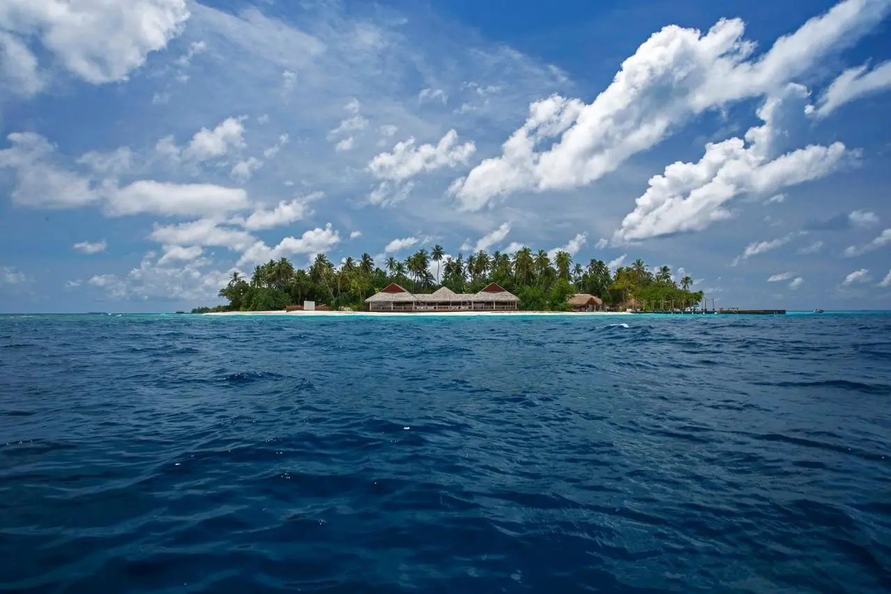 Malahini Kuda Bandos — MALAHINI KUDA BANDOS