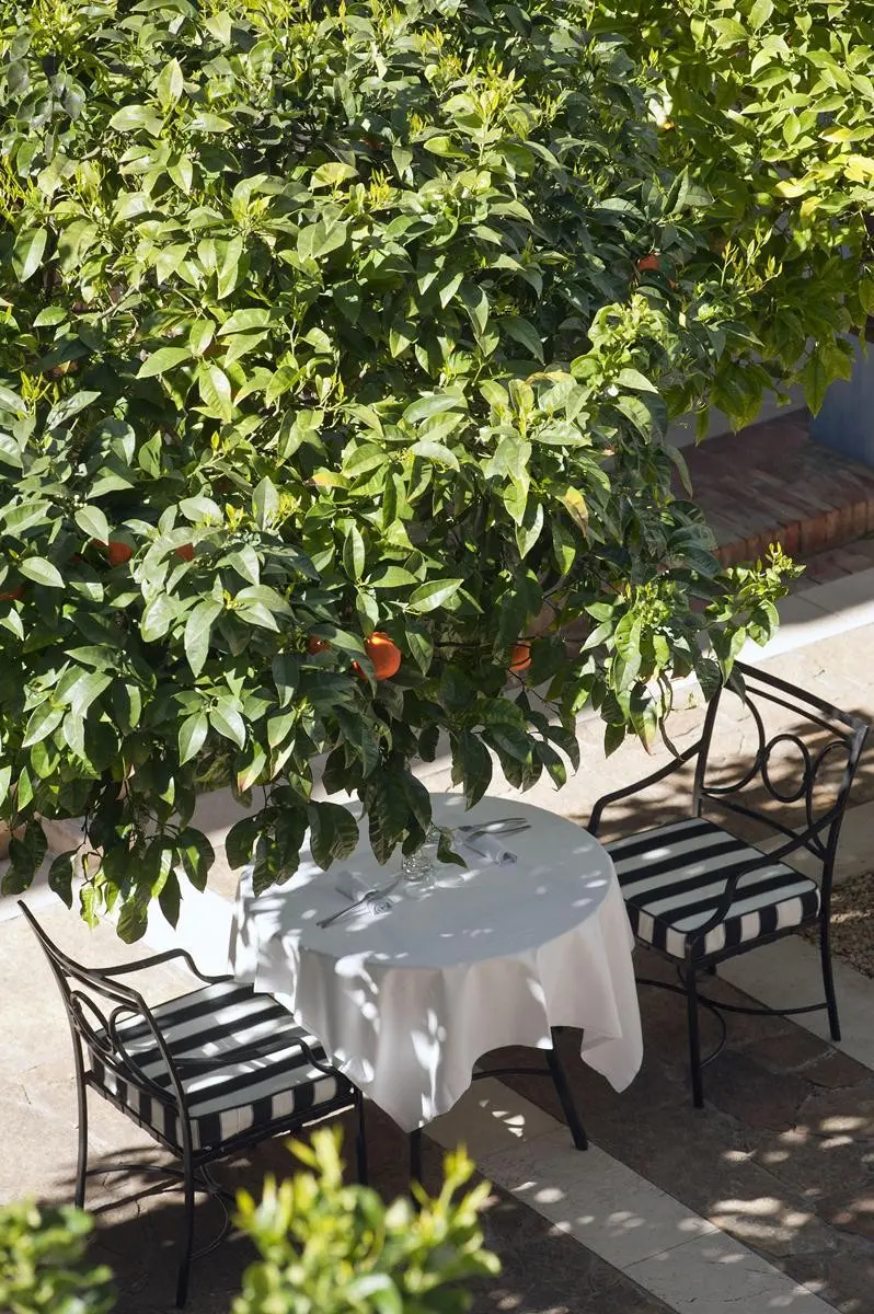 Melia Villaitana — MELIA VILLAITANA