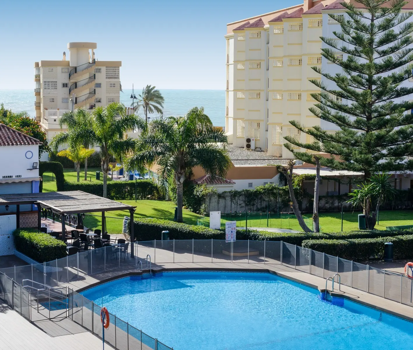 Monarque Cendrillon — MONARQUE CENDRILLON