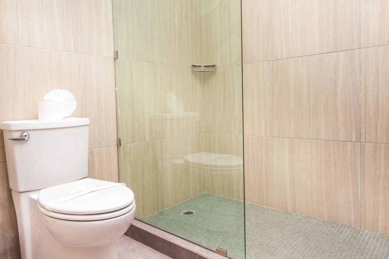 Mx Portal Maya — MX PORTAL MAYA