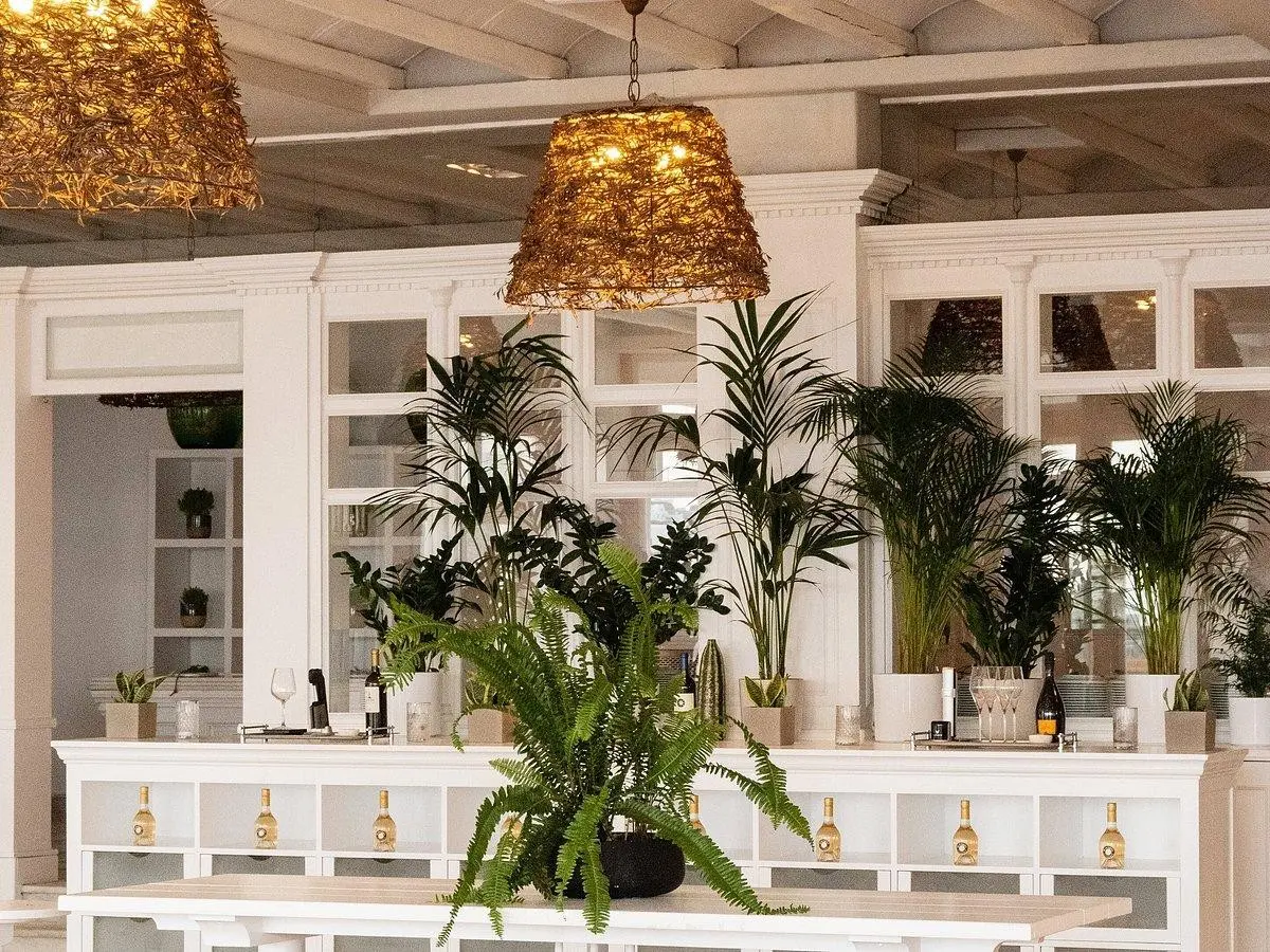 Mykonos Blu; A Grecotel Resort To Live — MYKONOS BLU, A GRECOTEL RESORT TO LIVE