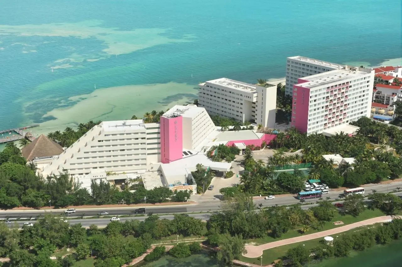 Oasis Palm — OASIS PALM