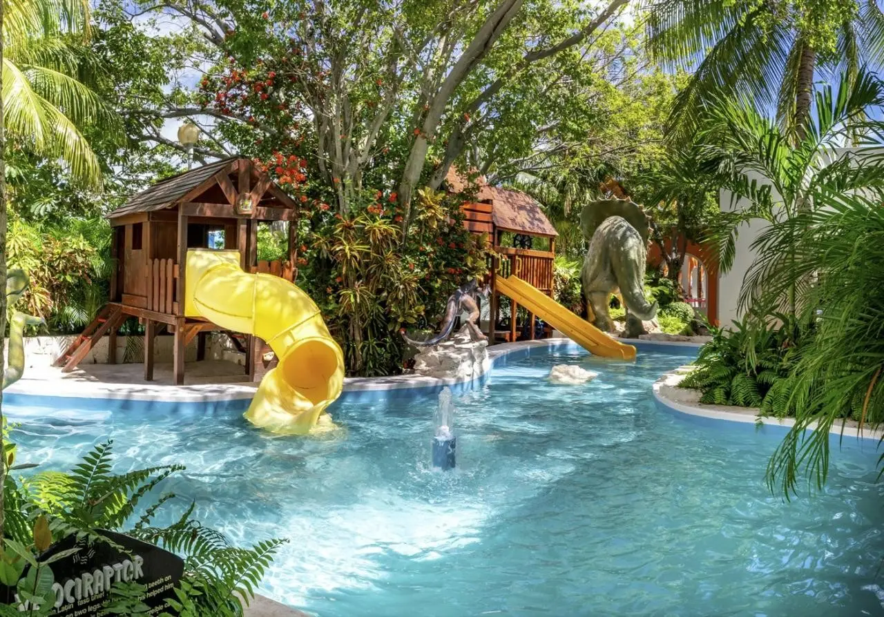 Oasis Palm — OASIS PALM