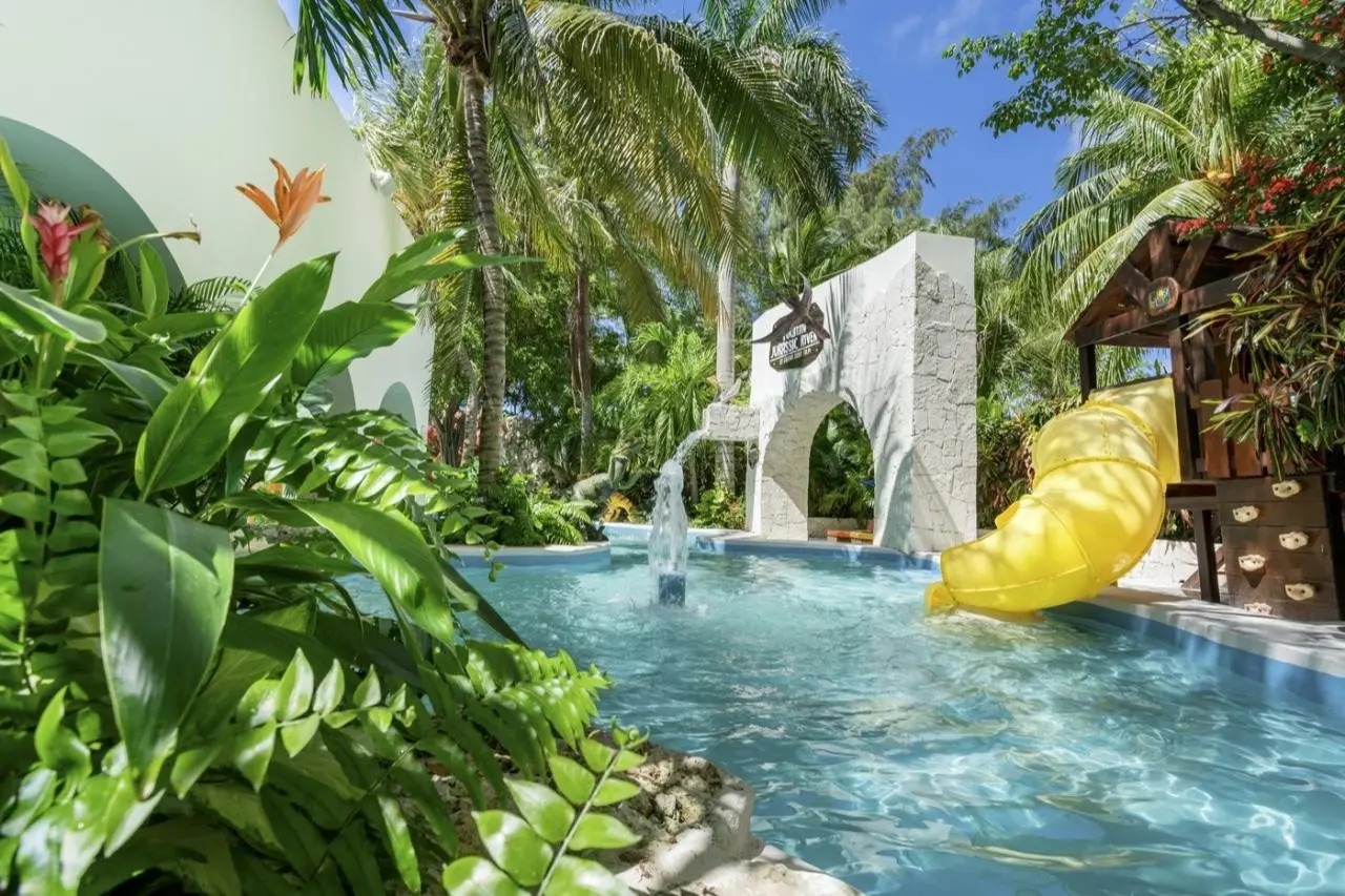 Oasis Palm — OASIS PALM