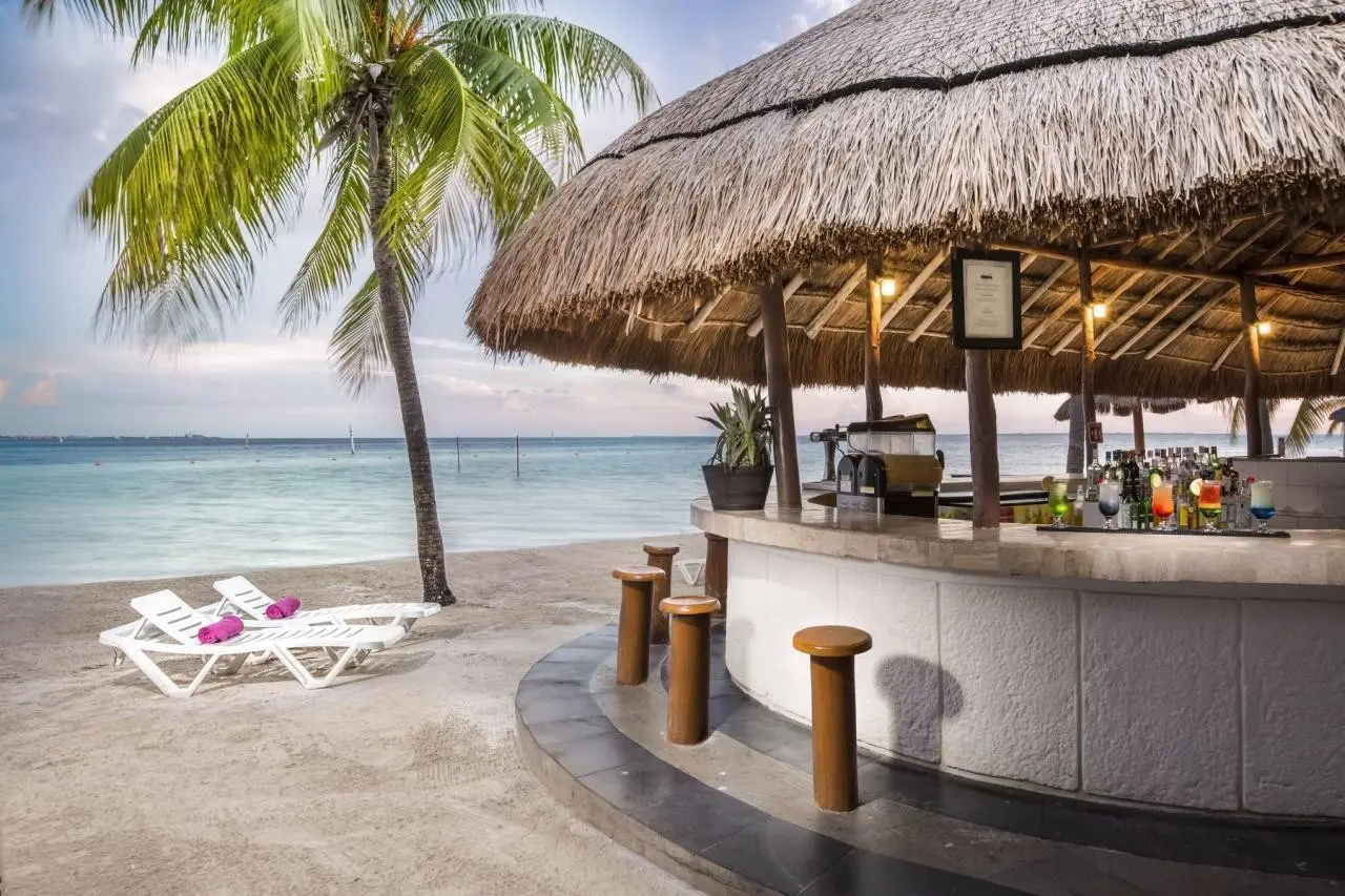 Oasis Palm — OASIS PALM