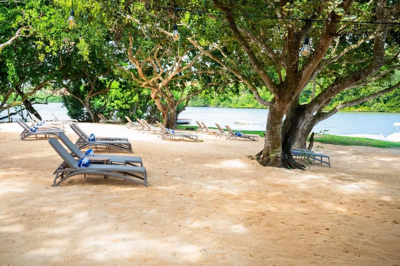 Ocean's Creek — OCEAN'S CREEK