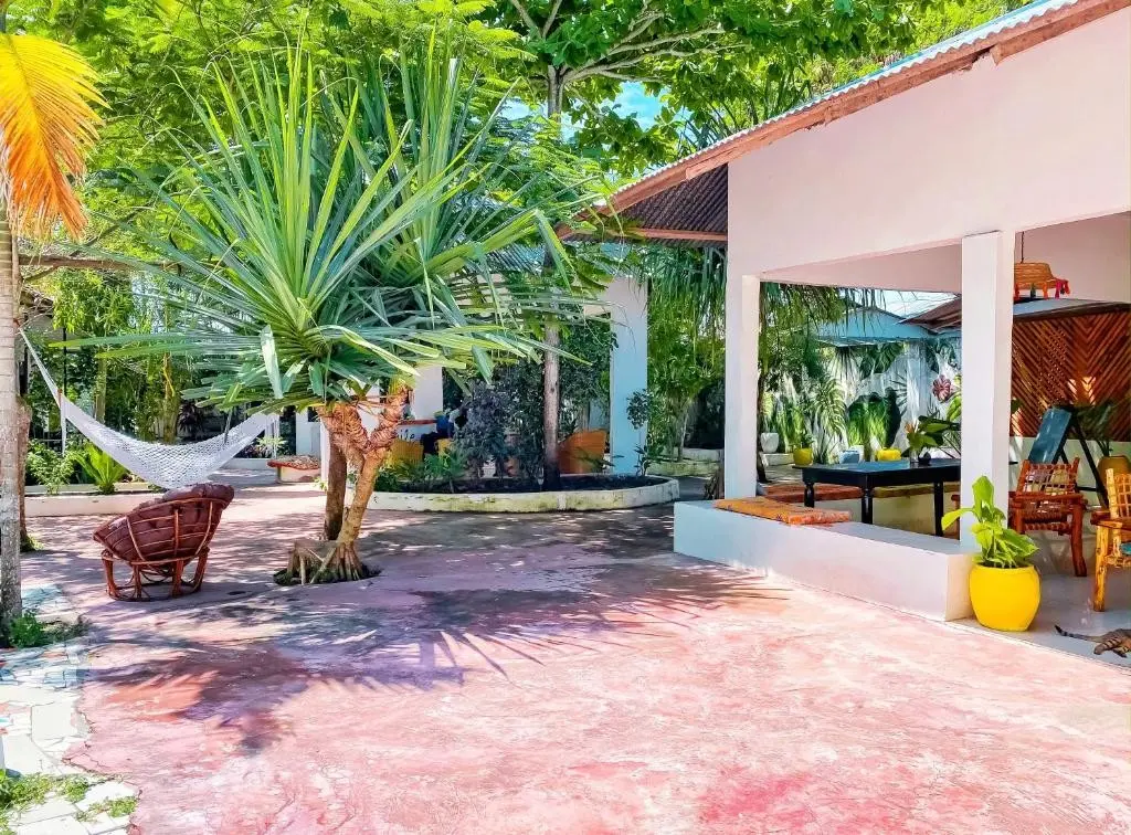 Papaya Guest House Nungwi — PAPAYA GUEST HOUSE NUNGWI