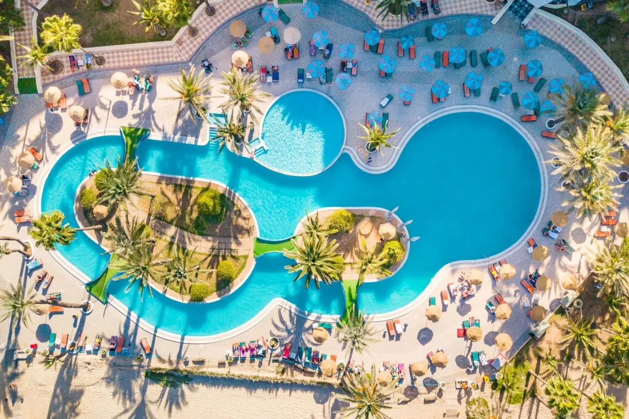 Riadh Palms — RIADH PALMS