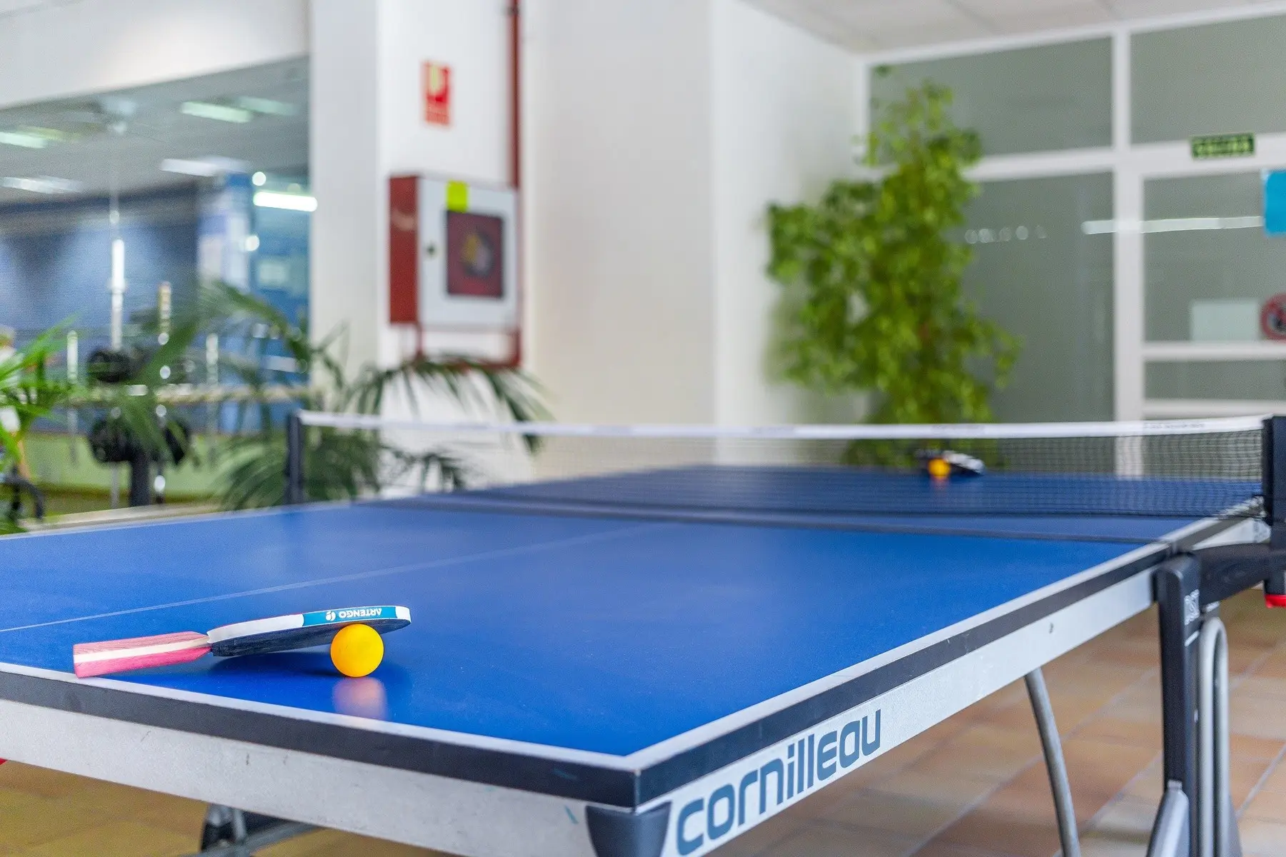 Royal Oasis Club at Pueblo Quinta — ROYAL OASIS CLUB AT PUEBLO QUINTA