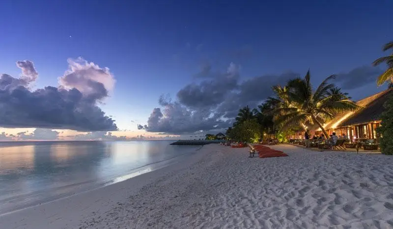 Summer Island — SUMMER ISLAND