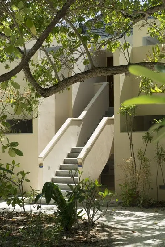 Summer Island — SUMMER ISLAND