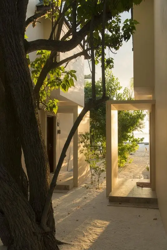 Summer Island — SUMMER ISLAND