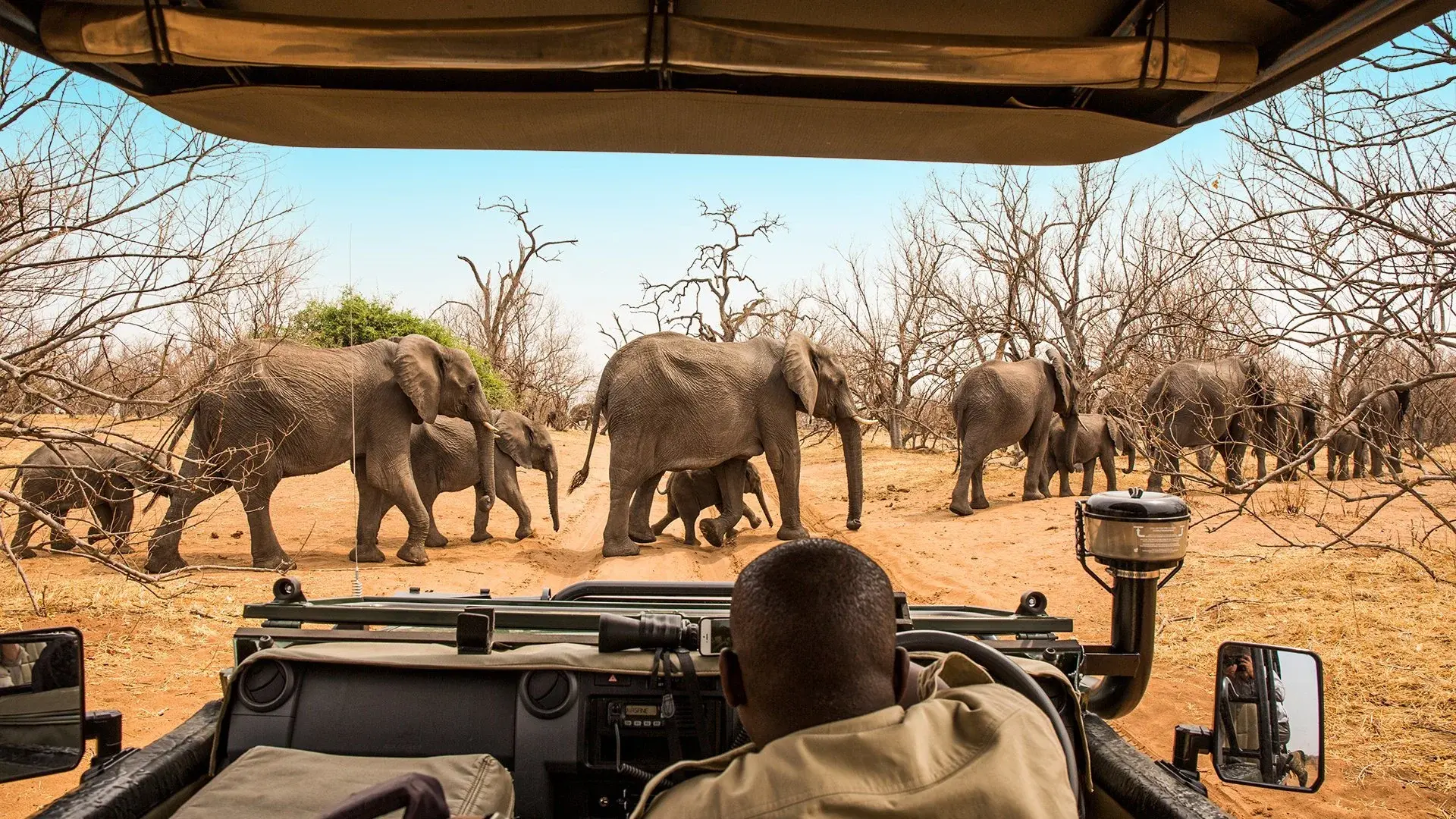 Wycieczka Tam, gdzie rządzi natura: Zimbabwe i Botswana