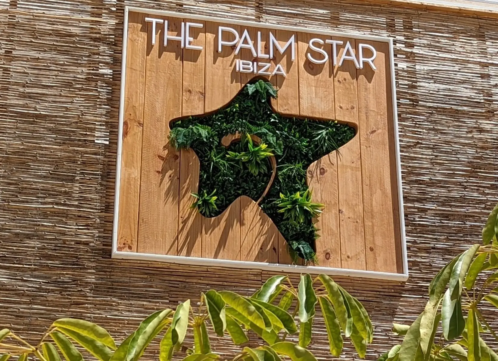 The Palm Star Ibiza — THE PALM STAR IBIZA