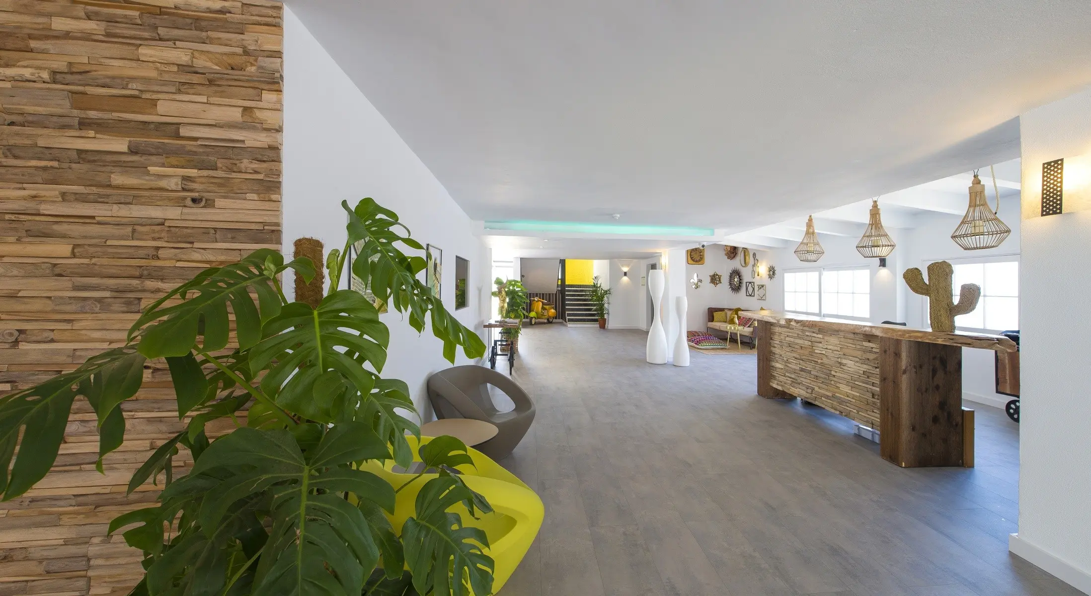 The Palm Star Ibiza — THE PALM STAR IBIZA