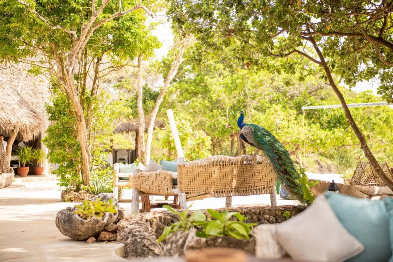 The Sands At Chale Island — THE SANDS AT CHALE ISLAND