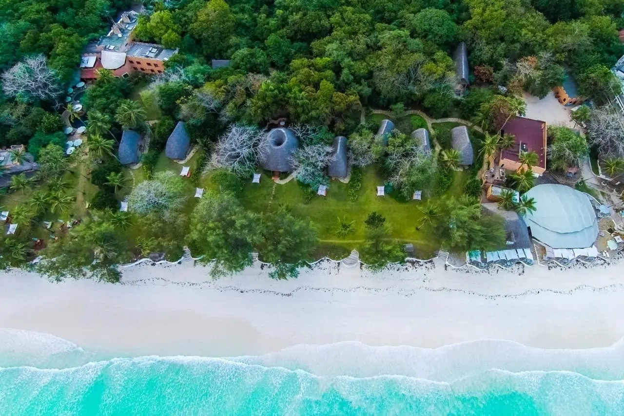 The Sands At Nomad — THE SANDS AT NOMAD