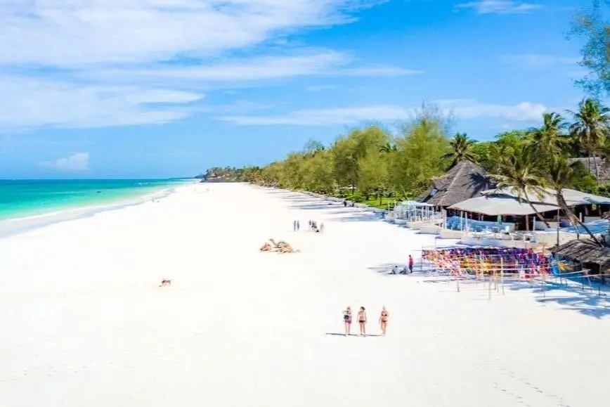 The Sands At Nomad — THE SANDS AT NOMAD