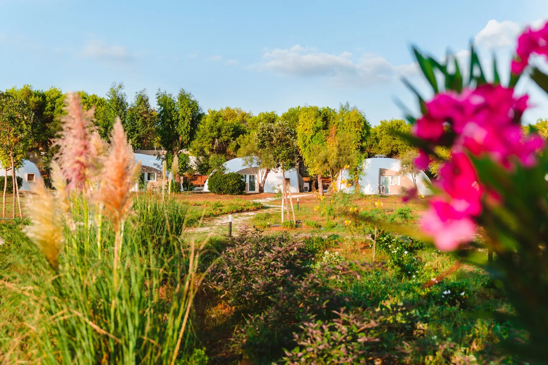 Torre Cintola Natural Sea Resort — TORRE CINTOLA NATURAL SEA RESORT