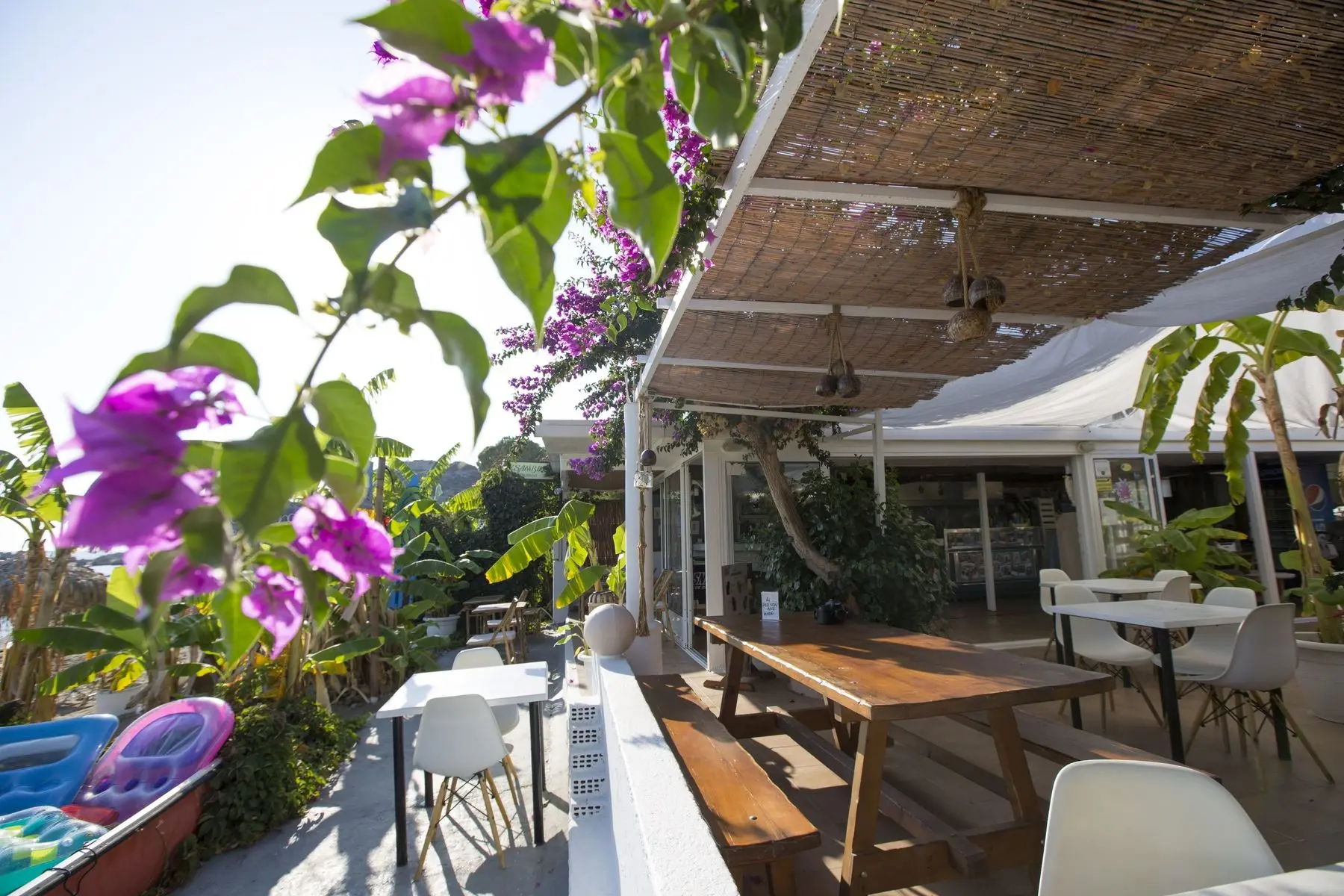 Tsambikos Apartments — TSAMBIKOS APARTMENTS