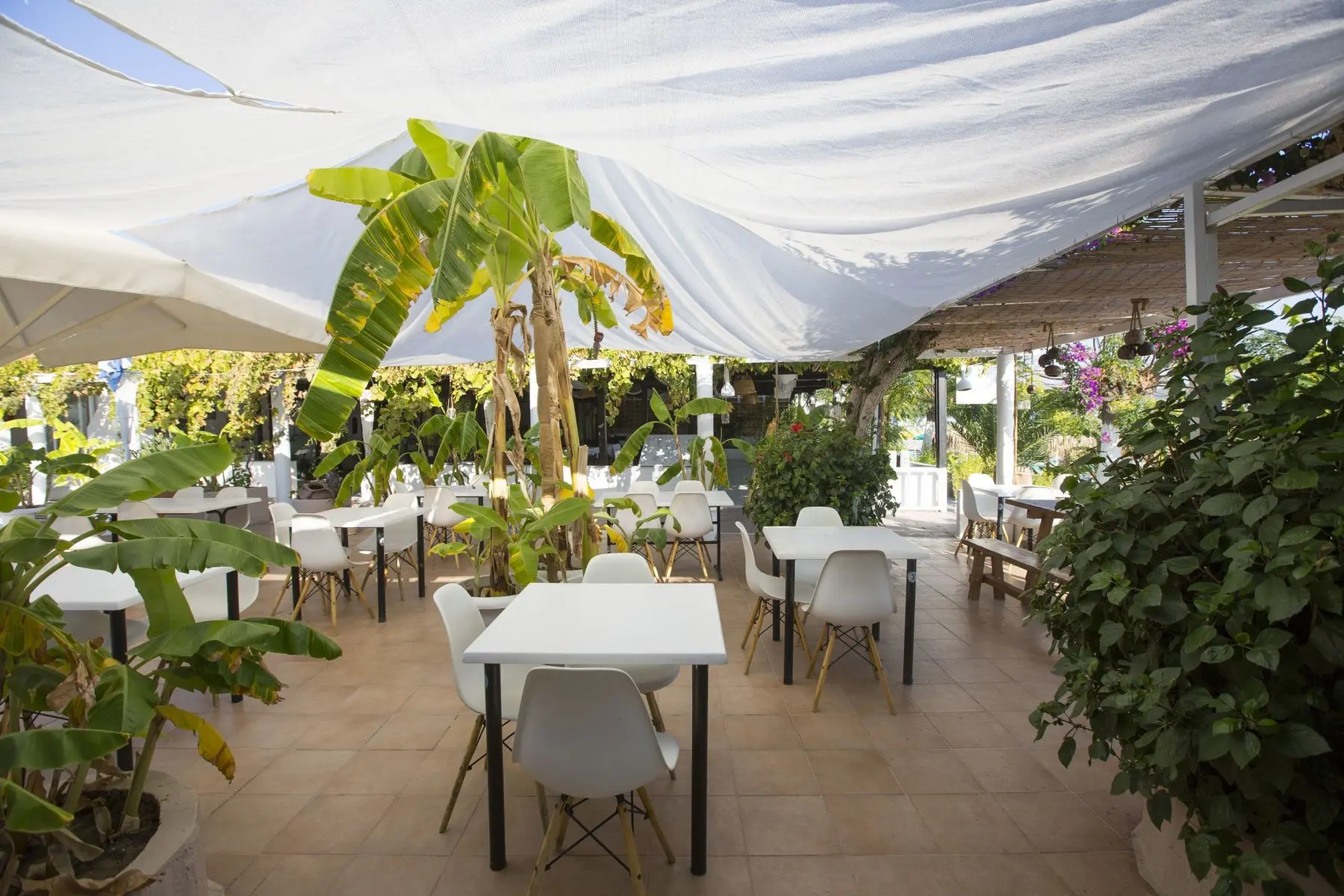 Tsambikos Apartments — TSAMBIKOS APARTMENTS