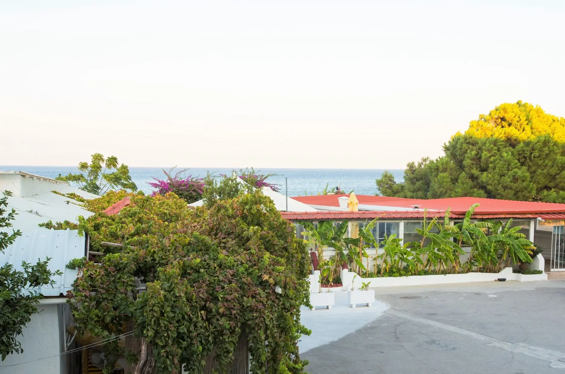 Tsambikos Apartments — TSAMBIKOS APARTMENTS