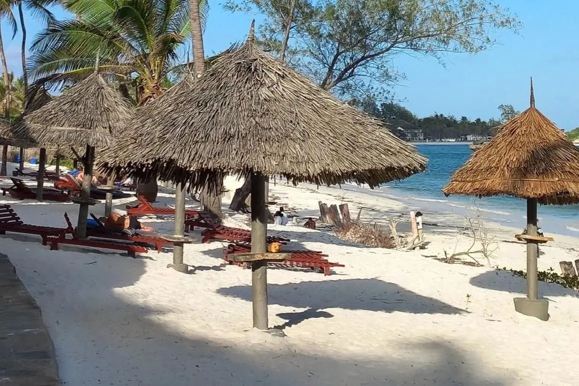 Turtle Bay Beach Club — TURTLE BAY BEACH CLUB