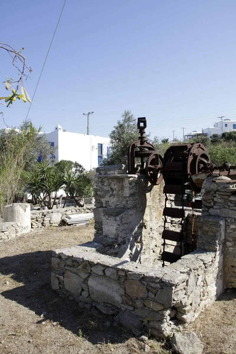 Vienoulas Garden — VIENOULAS GARDEN