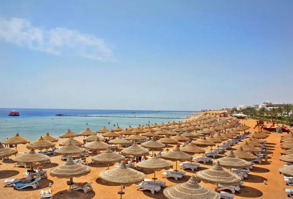 Plaża przy hotelu Baron Palms