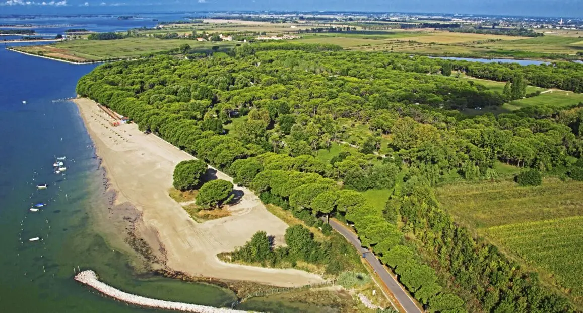 Hotel Belvedere Pineta