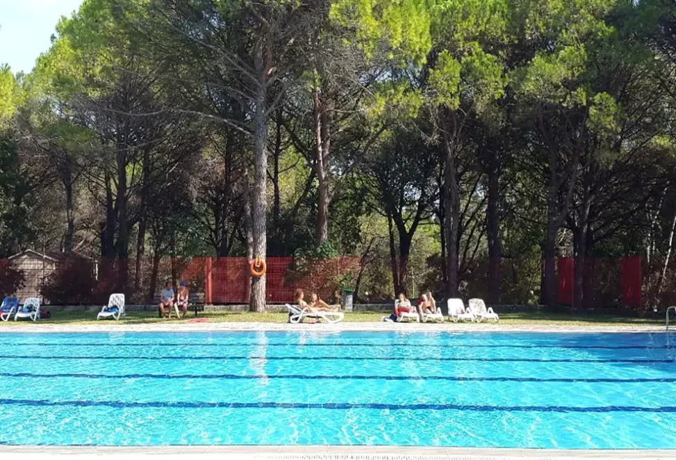 Basen w hotelu Belvedere Pineta