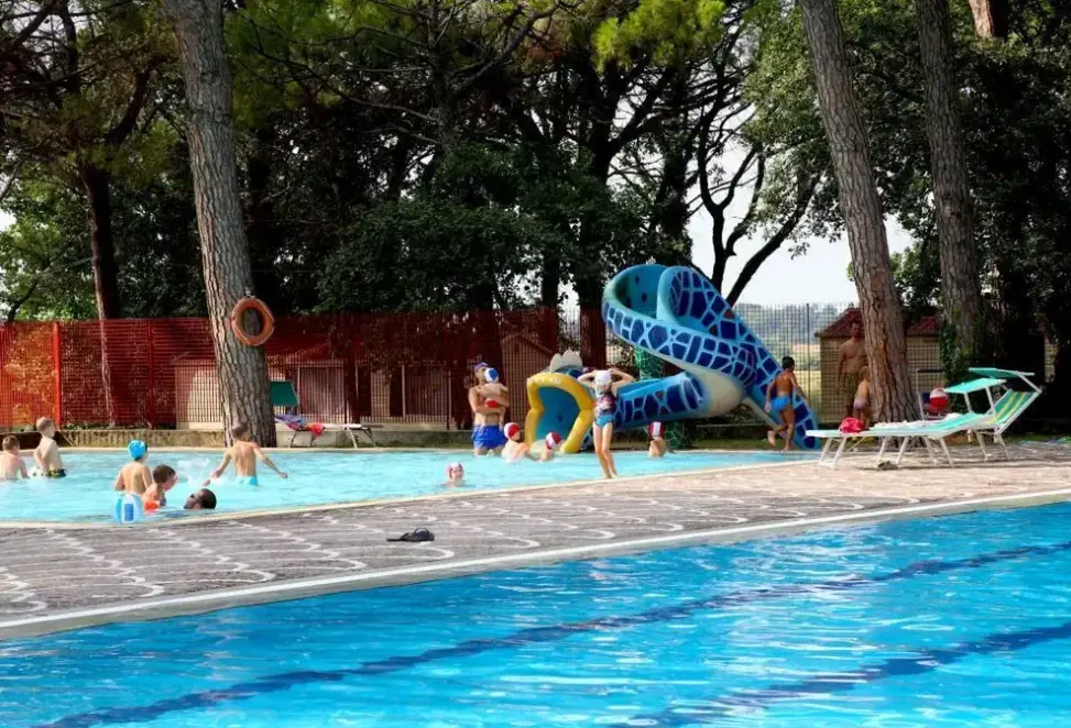 Basen w hotelu Belvedere Pineta