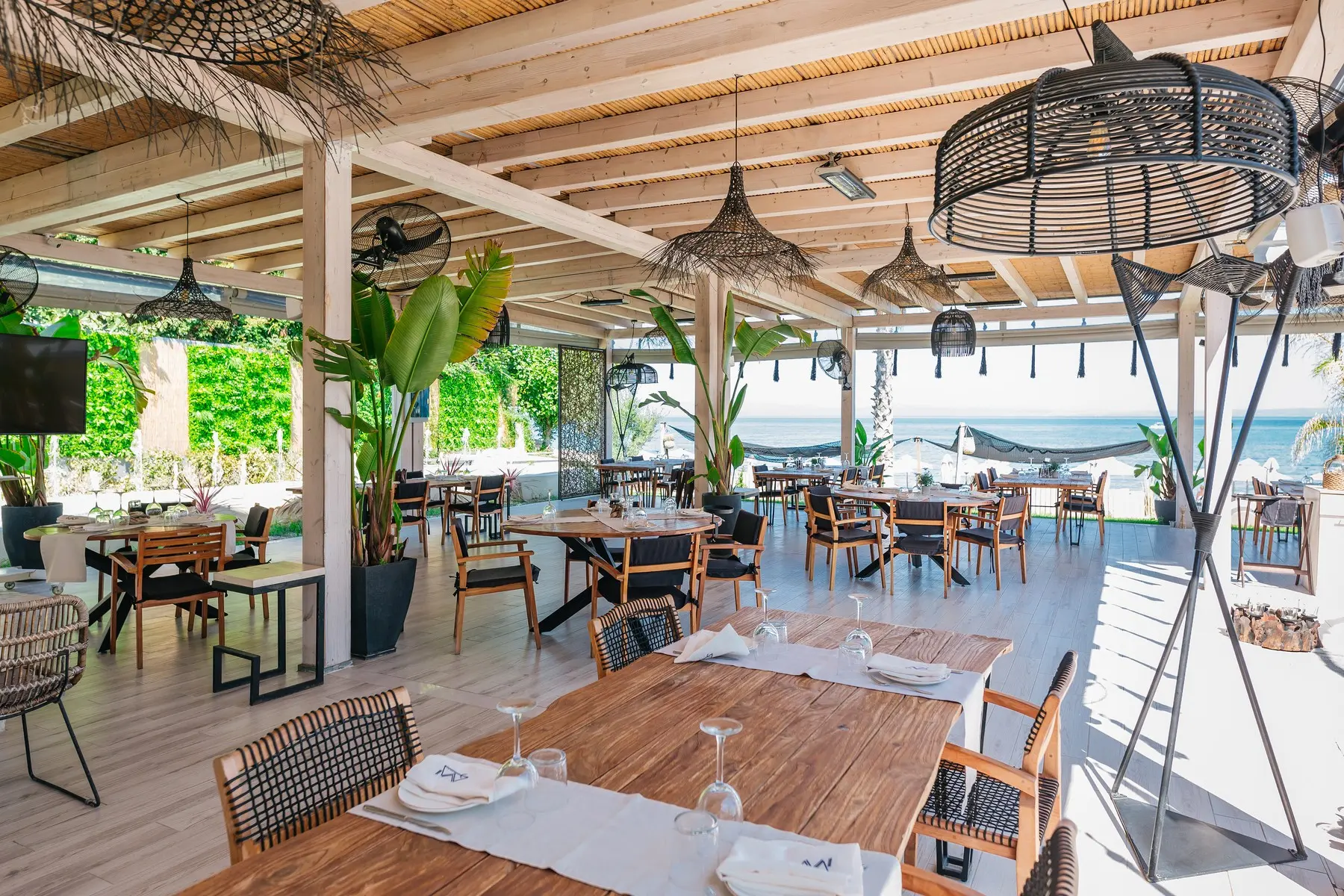 Blue Carpet Luxury Suites — BLUE CARPET LUXURY SUITES