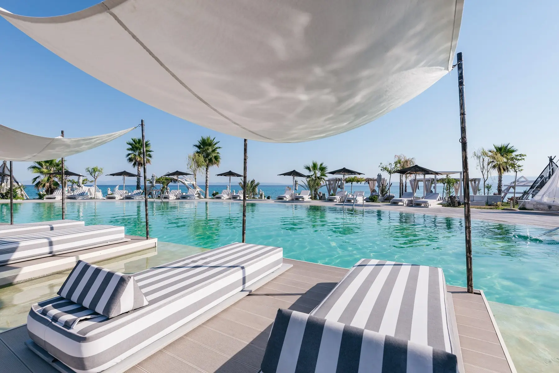 Blue Carpet Luxury Suites — BLUE CARPET LUXURY SUITES