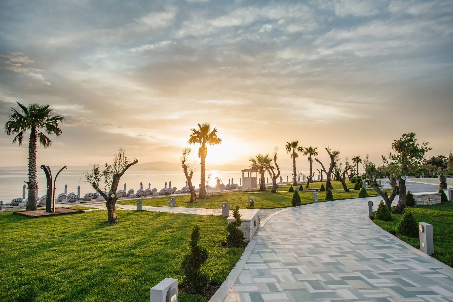 Blue Carpet Luxury Suites — BLUE CARPET LUXURY SUITES