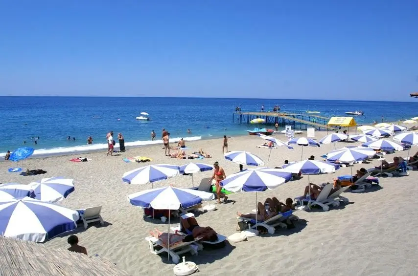 Blue Fish — BLUE FISH