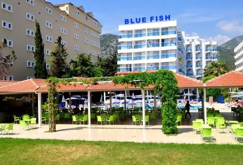 Blue Fish — BLUE FISH