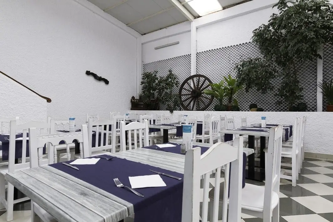 Checkin Concordia Playa — CHECKIN CONCORDIA PLAYA