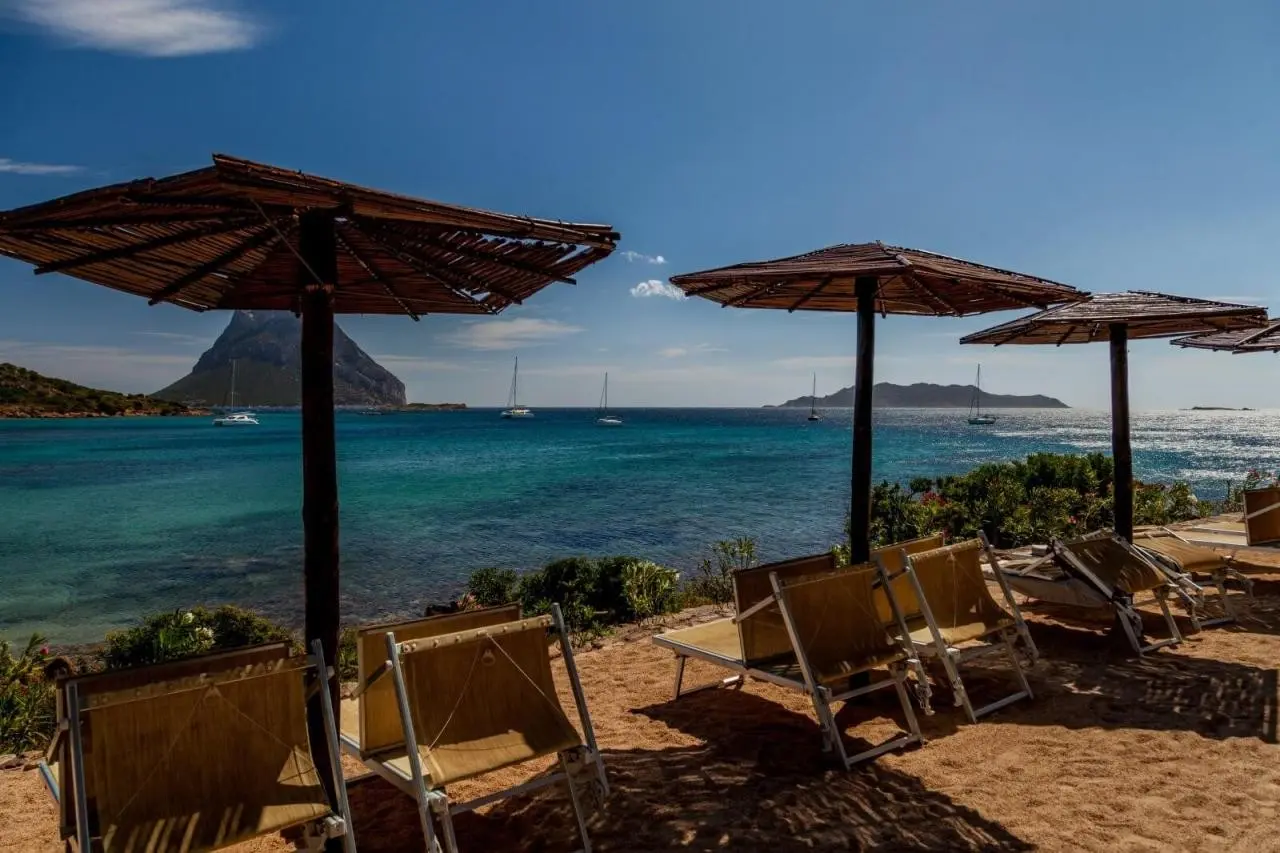 Don Diego — DON DIEGO