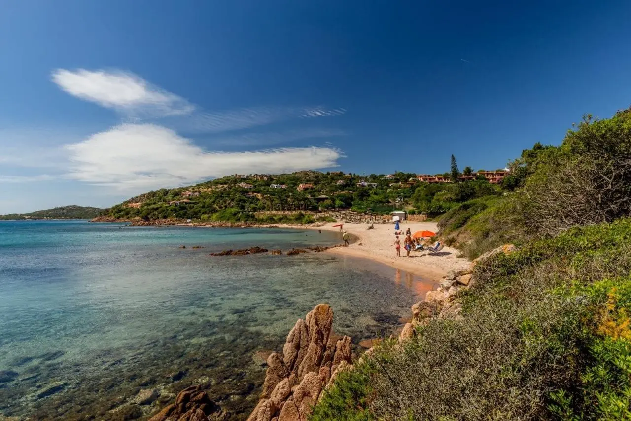 Don Diego — DON DIEGO