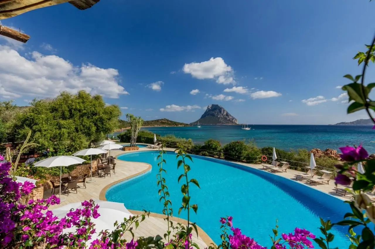 Don Diego — DON DIEGO